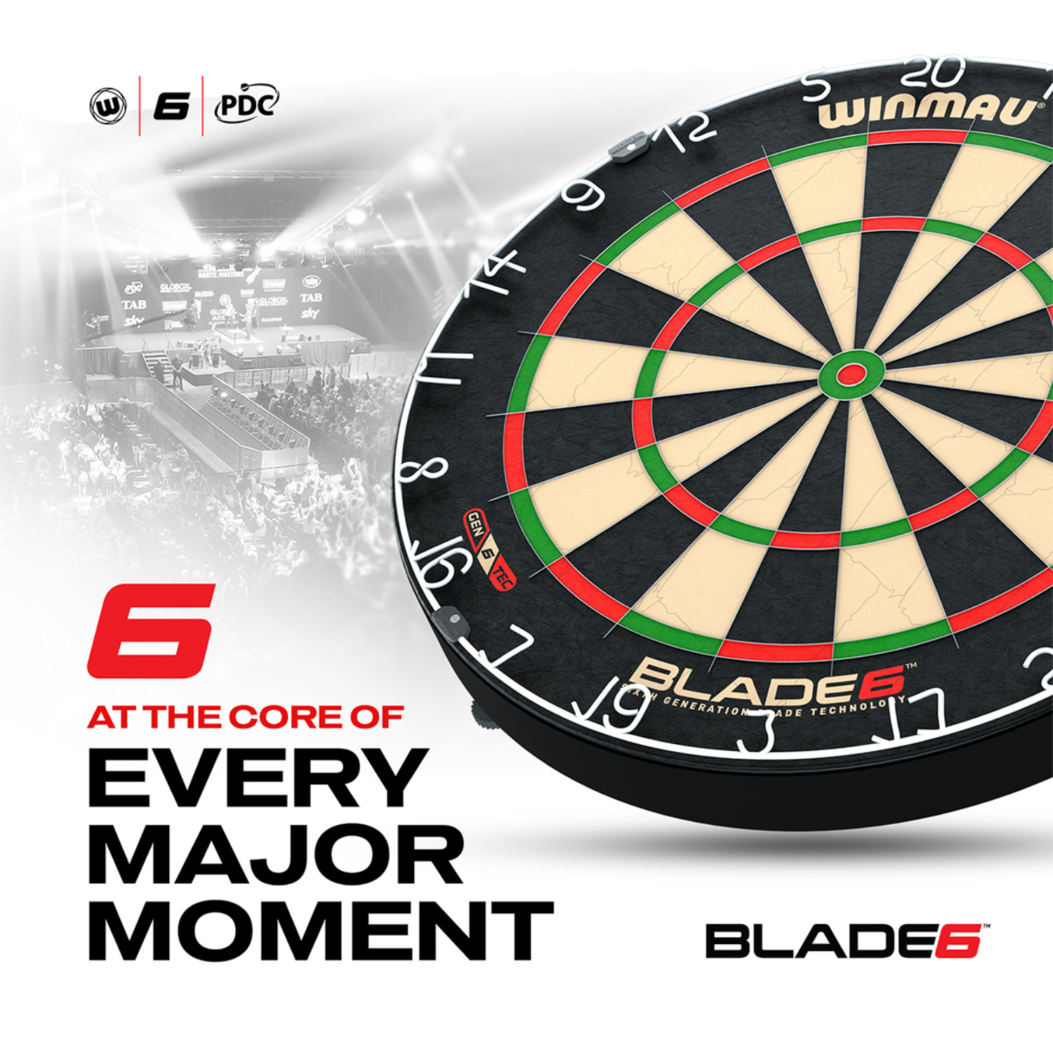 Dartboard "Blade 6"
