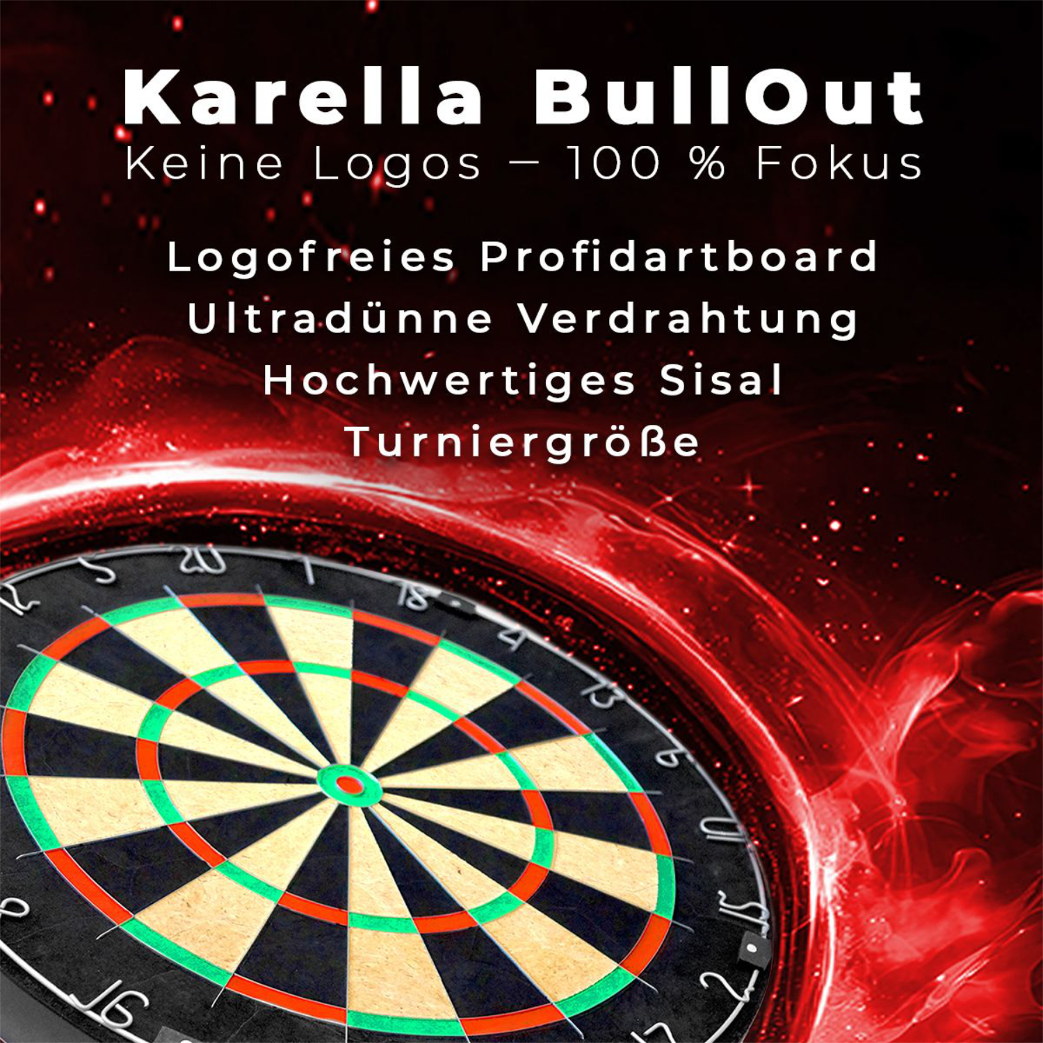 Profi-Dartboard "BullOut"