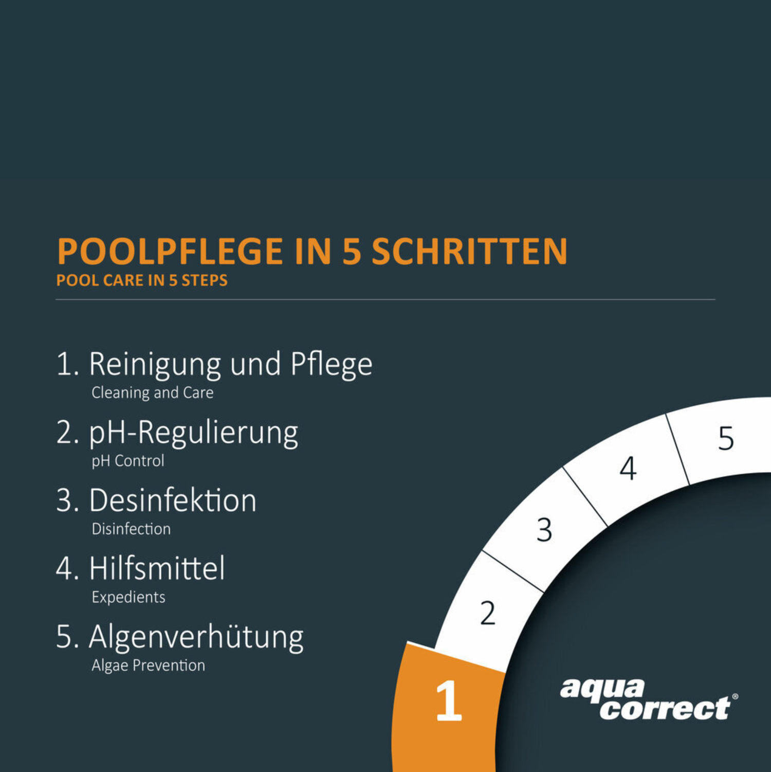 Poolpflege in 5 Schritten